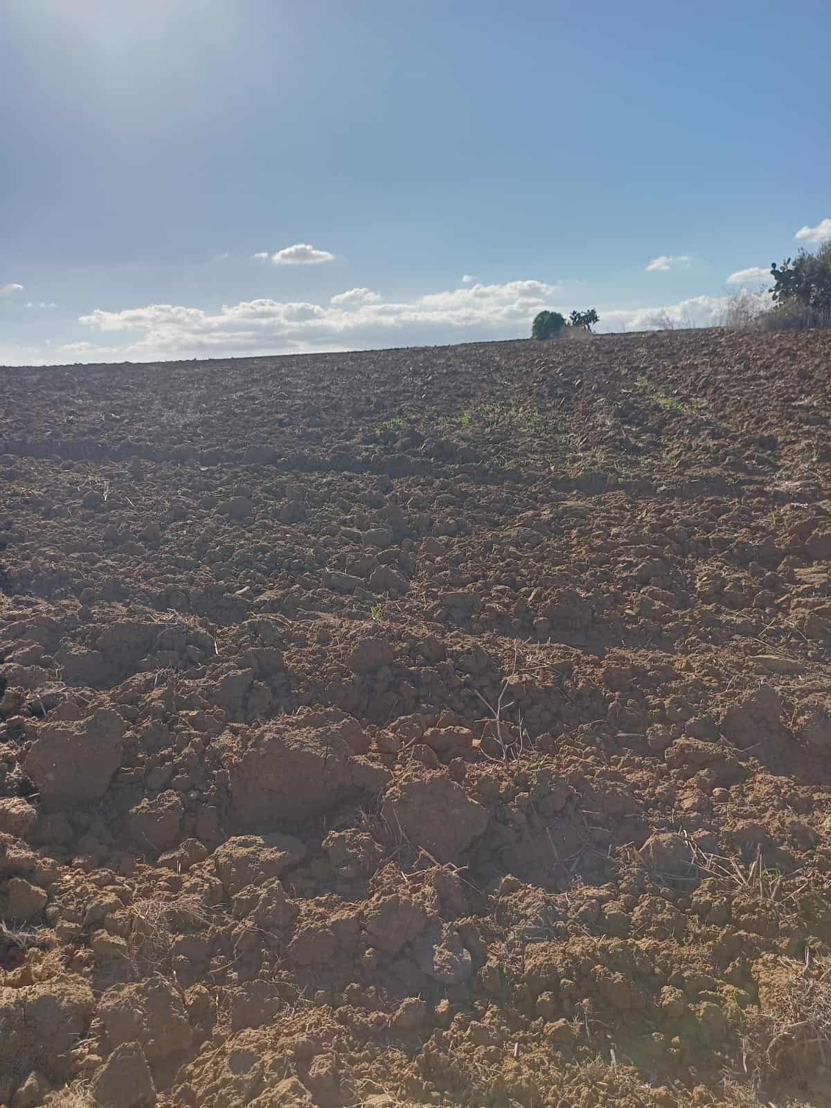 Vente&nbsp;Maisons - Tunisie