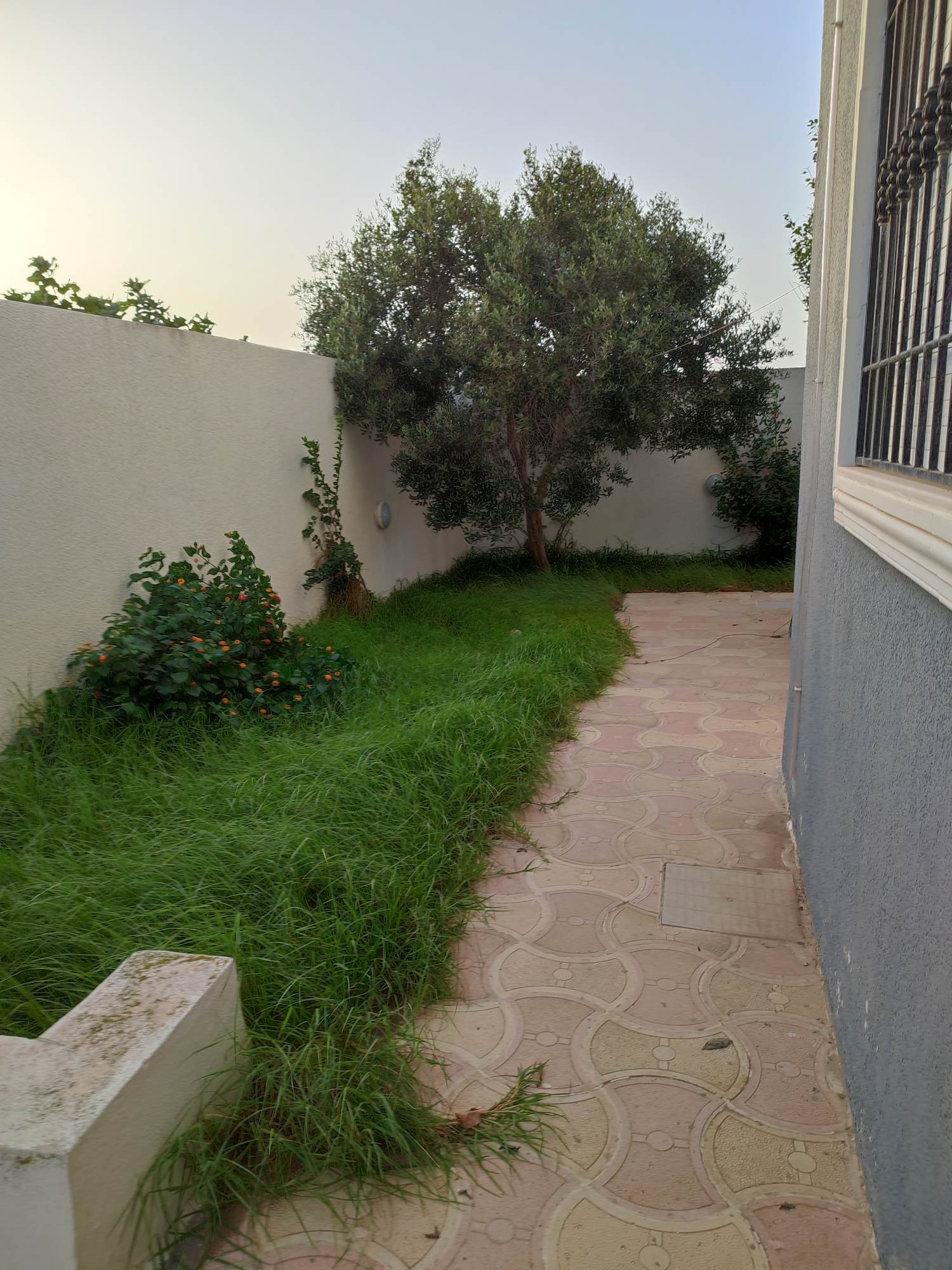 Hammam El Ghezaz&nbsp;Hammam El Ghezaz&nbsp;Vente&nbsp;Duplex&nbsp;Immeuble � 500 m de la plage hammam ghzeze