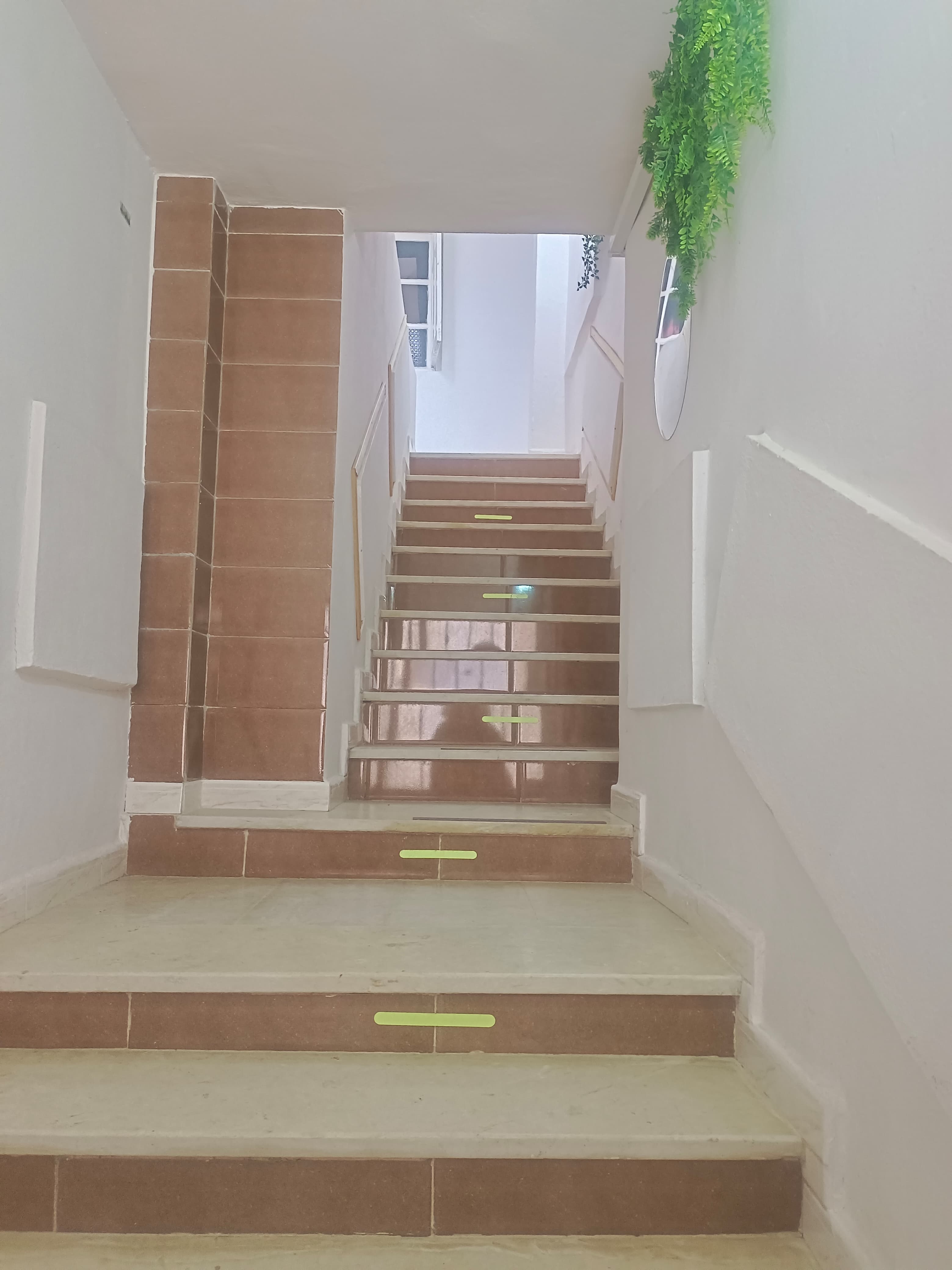 Ben Arous Ben Arous Location Appart. 3 pices Appartement s3 a ben arous