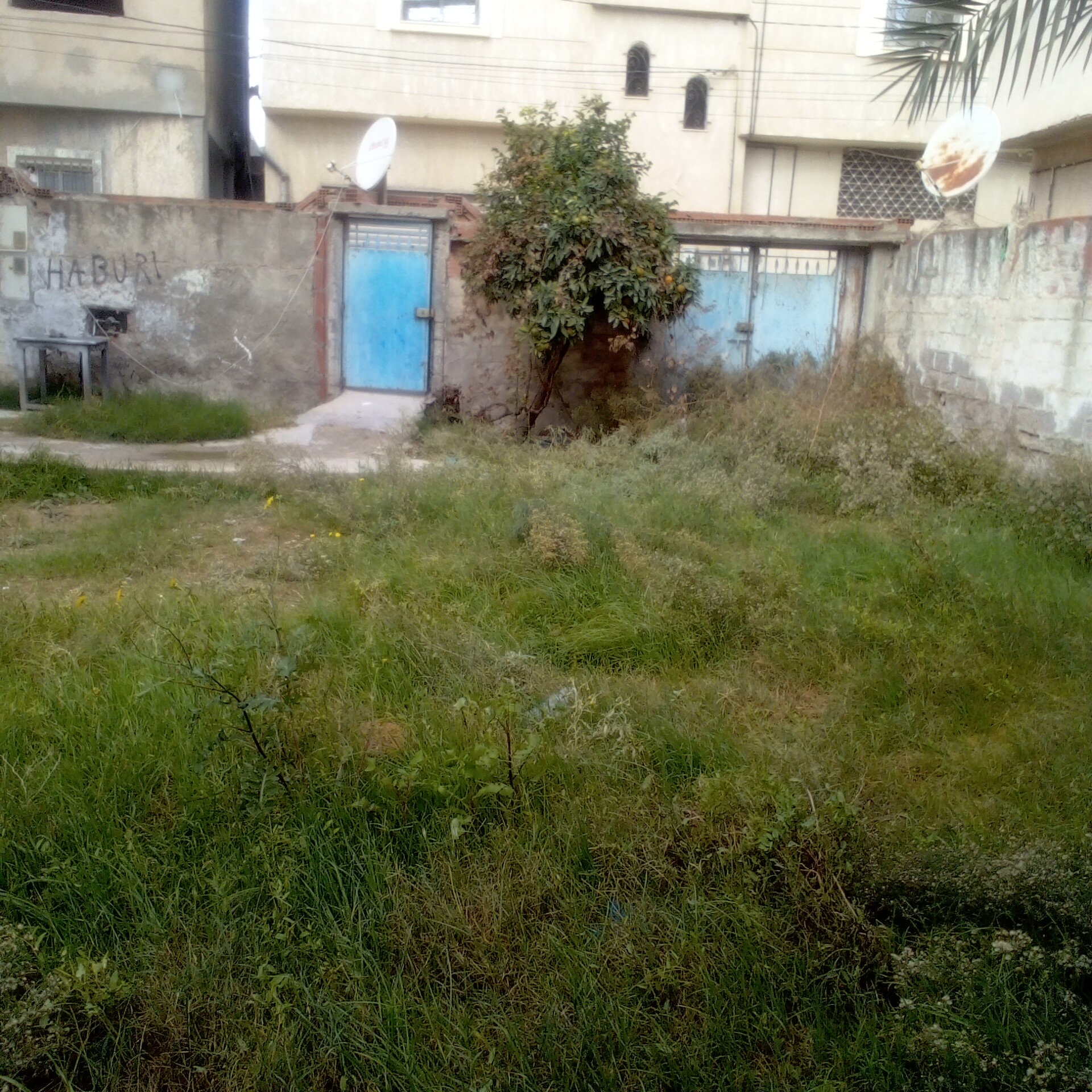 La Soukra&nbsp;Mosque Erraoudha&nbsp;Vente&nbsp;Autre&nbsp;Un terrain � 103 000 dt