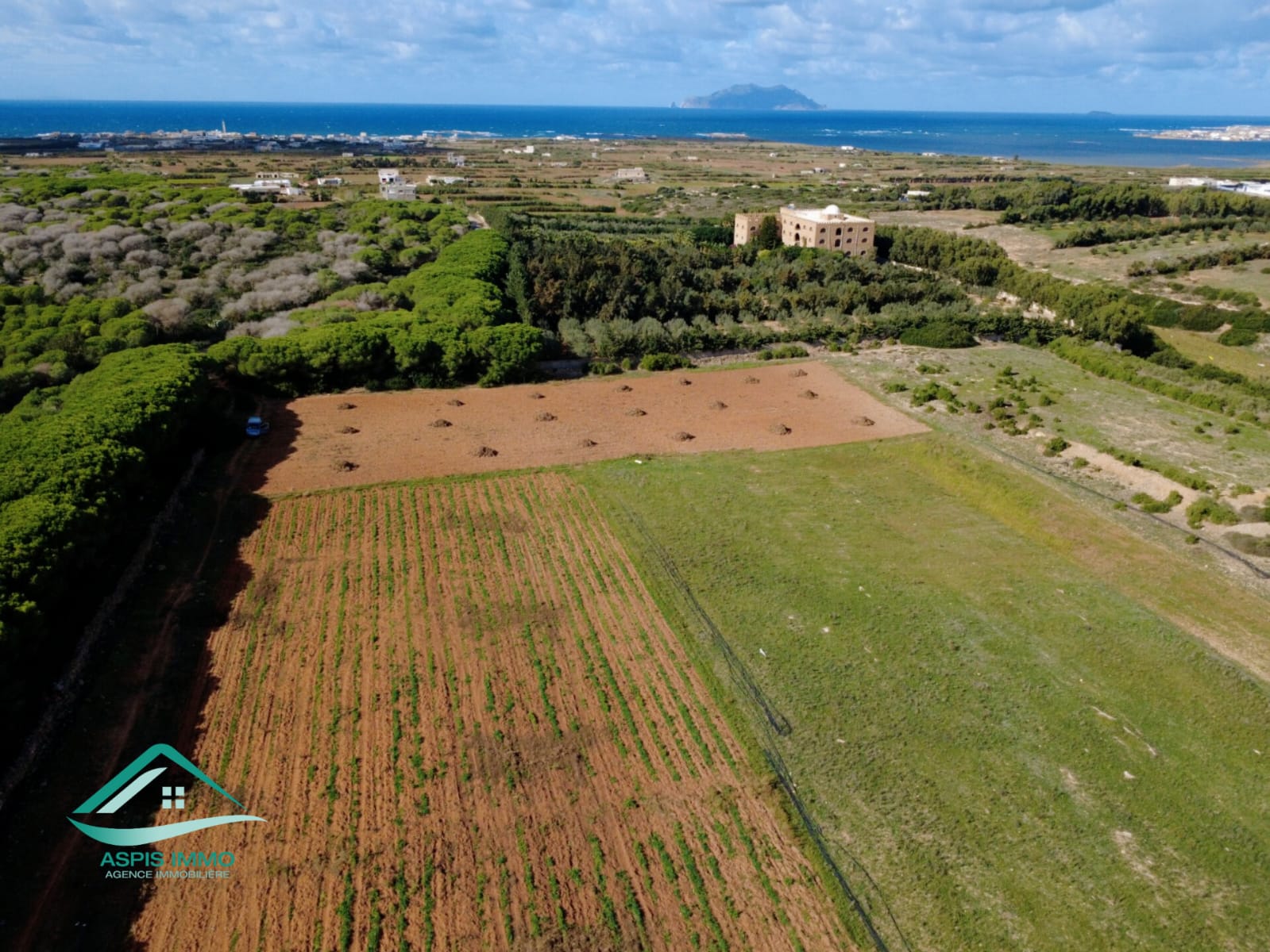 El Haouaria Sidi Daoud Vente Surfaces Vt809 terrain agricole  sidi daoued hawaria