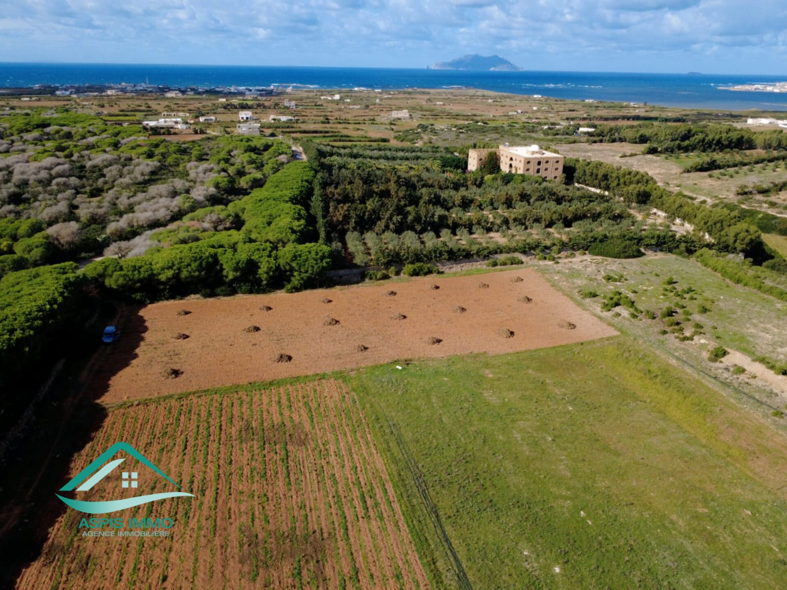 El Haouaria Sidi Daoud Vente Surfaces Vt809 terrain agricole  sidi daoued hawaria