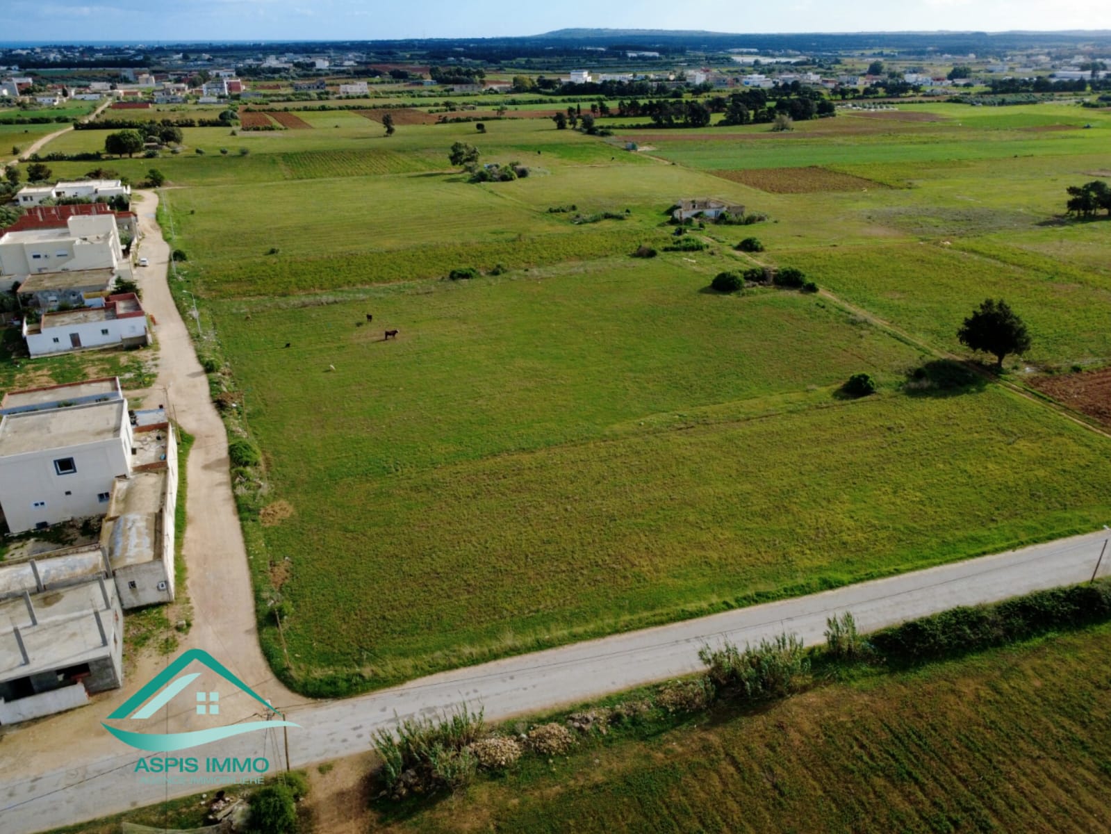 Kelibia&nbsp;Dar Allouche&nbsp;Vente&nbsp;Surfaces&nbsp;Vt961 terrain 800 m2 � dar allouch