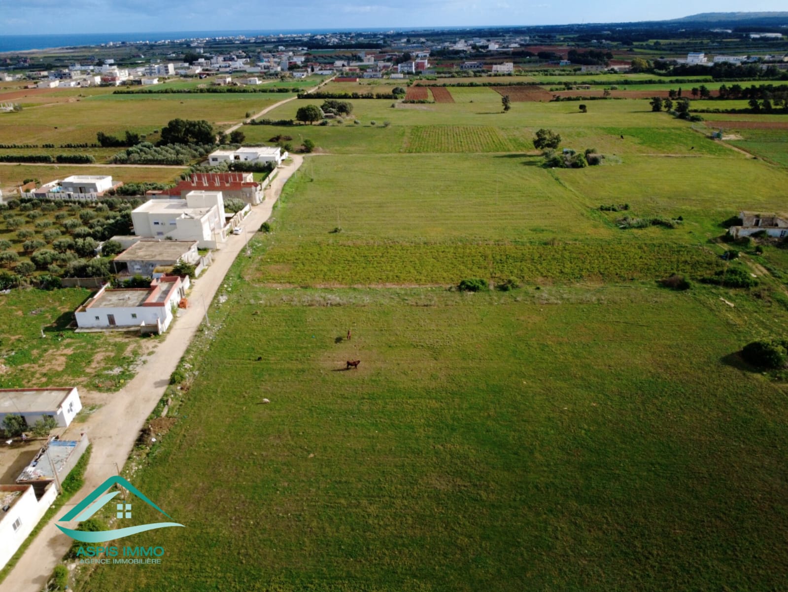 Kelibia&nbsp;Dar Allouche&nbsp;Vente&nbsp;Surfaces&nbsp;Vt961 terrain 800 m2 � dar allouch