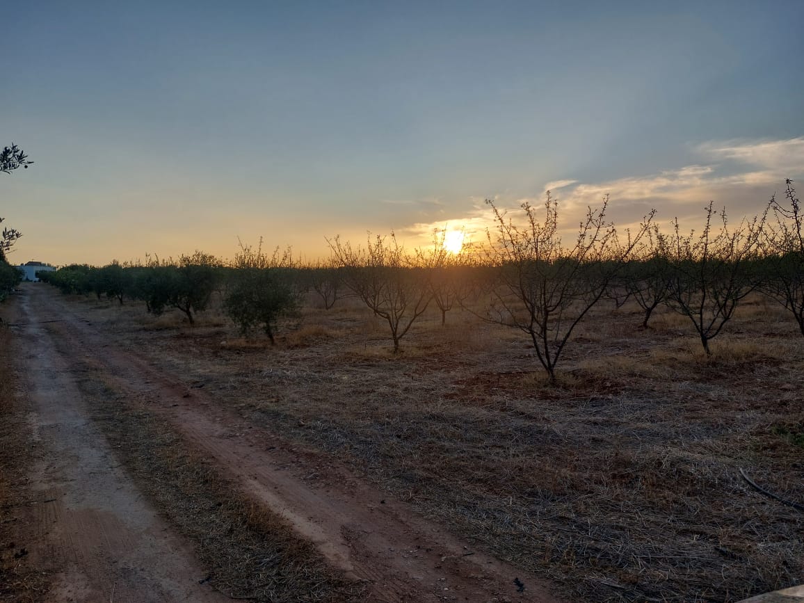 Mannouba La Mannouba Vente Surfaces Opportunit ne pas rater