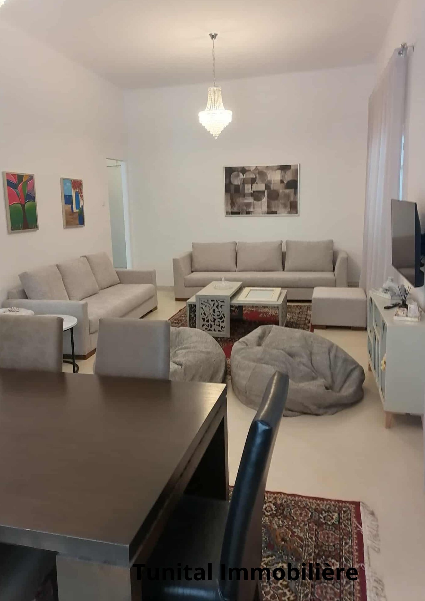 Carthage Cartage Byrsa Vente Maisons Villa  sur deux niveaux spars