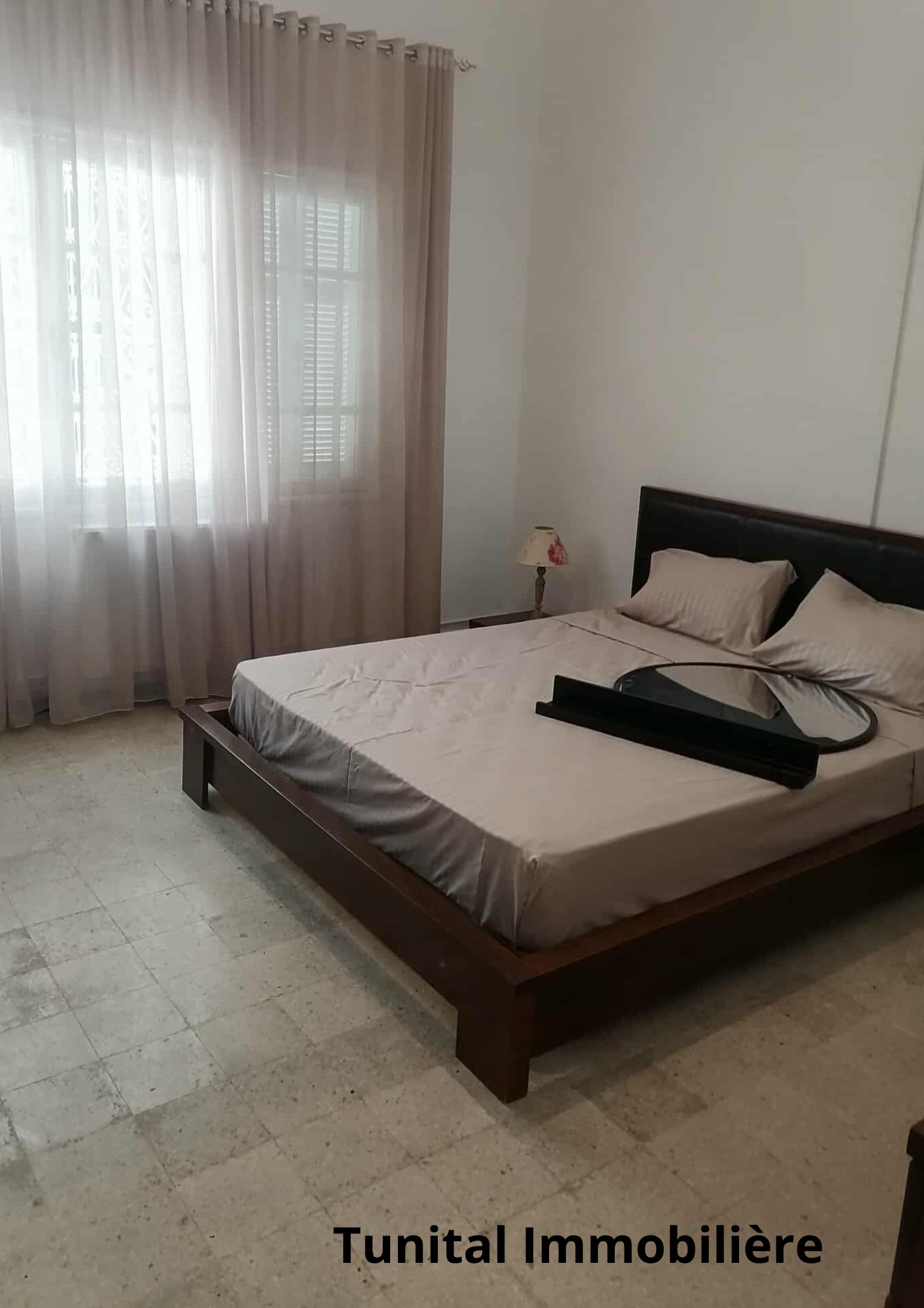 Carthage Cartage Byrsa Vente Maisons Villa  sur deux niveaux spars