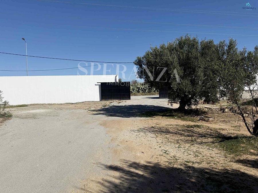 Hammamet&nbsp;Hammamet&nbsp;Vente&nbsp;Surfaces&nbsp;Terrain abie
