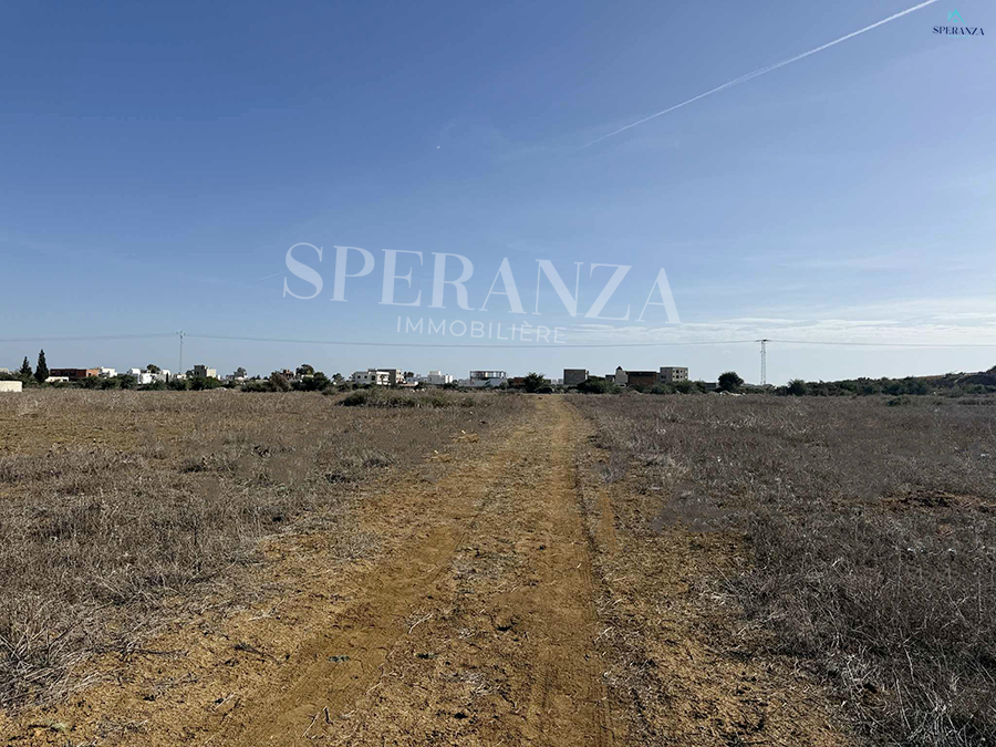 Hammamet&nbsp;Hammamet&nbsp;Vente&nbsp;Surfaces&nbsp;Terrain alta