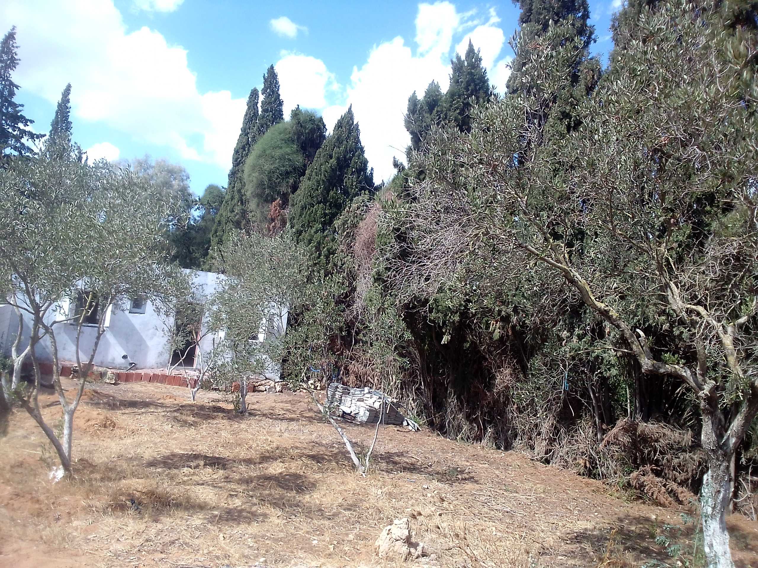Vente Maisons - Tunisie