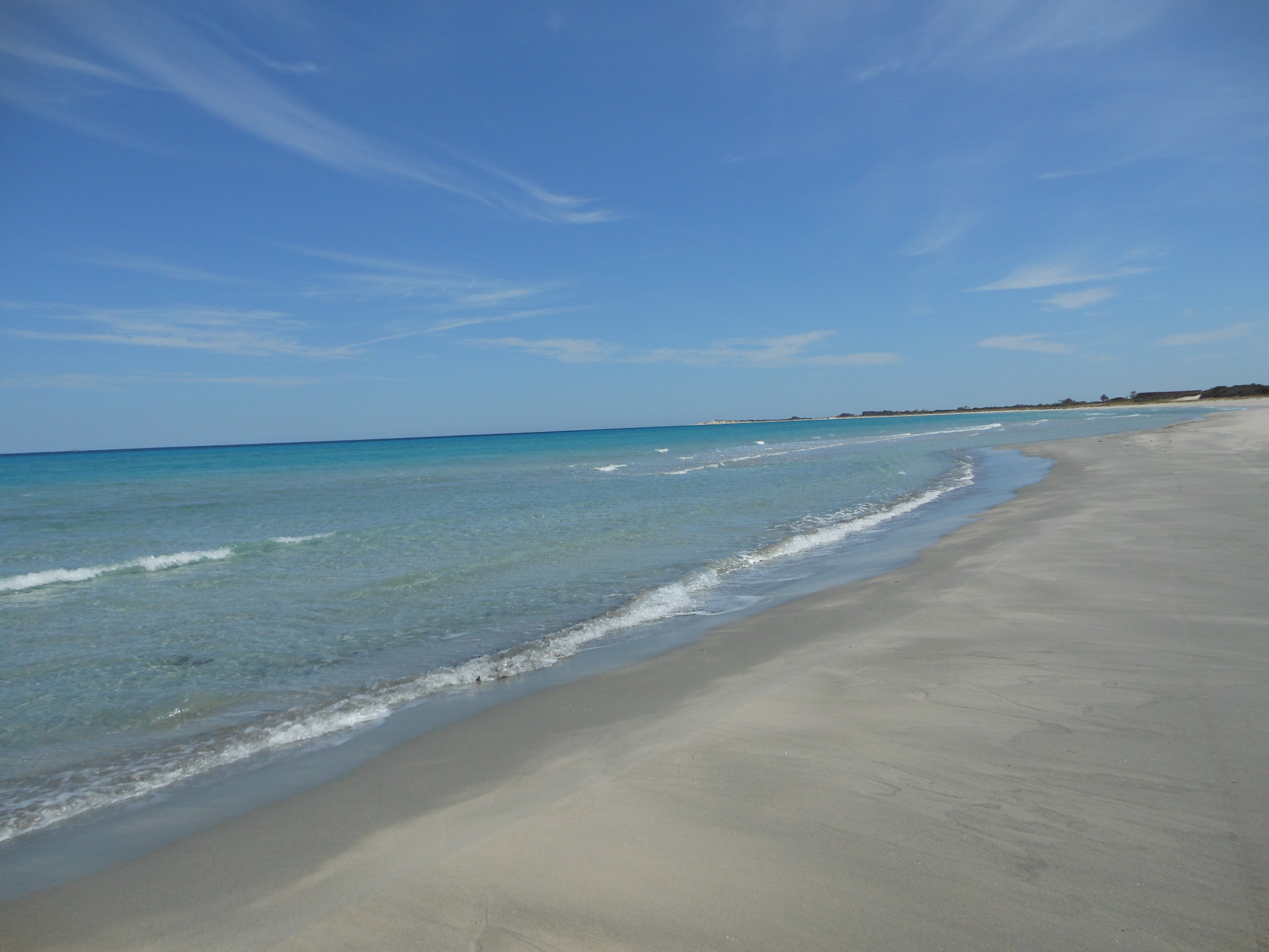 Kelibia Kerkouane Terrain Terrain nu Un terrain pour les investisseurs de 1 ha