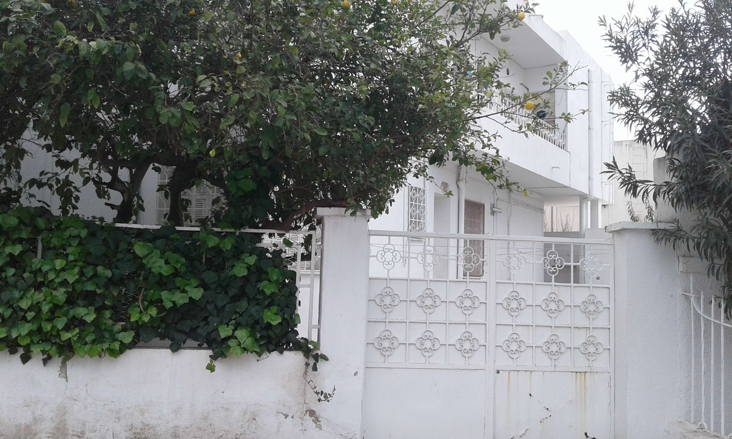 El Menzah Mutuelle Ville Vente Maisons Villa  a  mutuelle ville