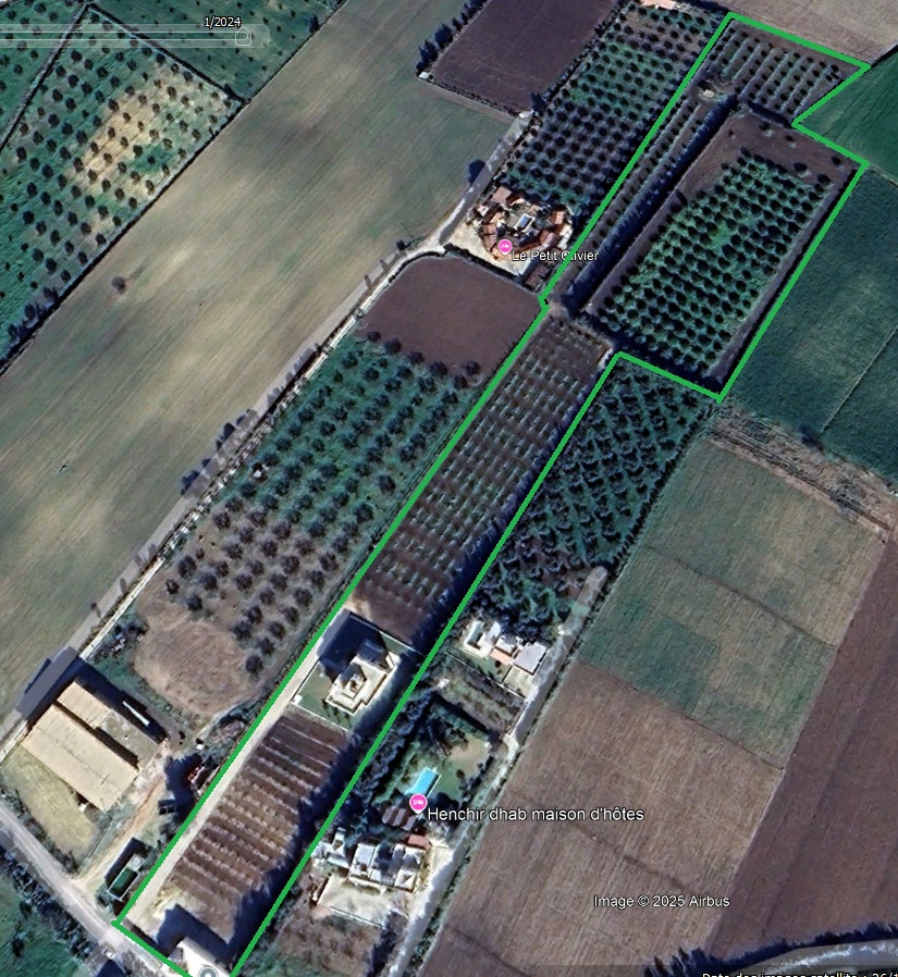 El Alia&nbsp;El Alia&nbsp;Vente&nbsp;Maisons&nbsp;Maison de 360 m au coeur d'une ferme de 3 hectares