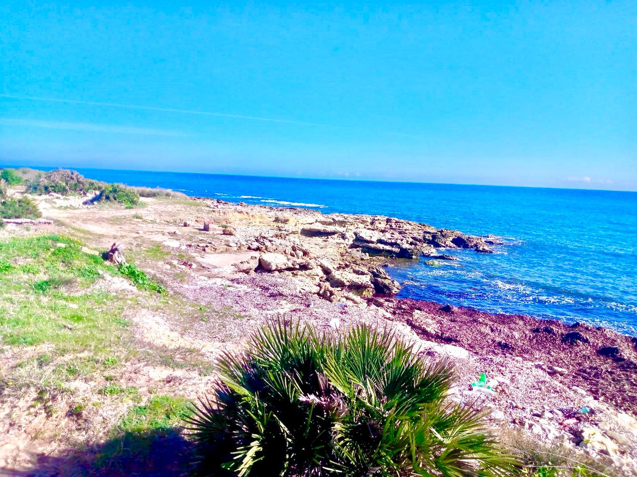 Kelibia&nbsp;Kerkouane&nbsp;Terrain&nbsp;Terrain nu&nbsp;Terrain plage kerkwen