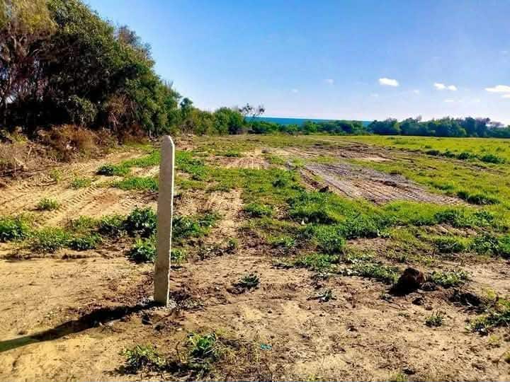 Kelibia&nbsp;Kerkouane&nbsp;Terrain&nbsp;Terrain nu&nbsp;Terrain plage kerkwen