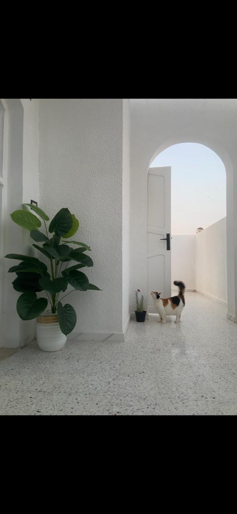 Vente Maisons - Tunisie