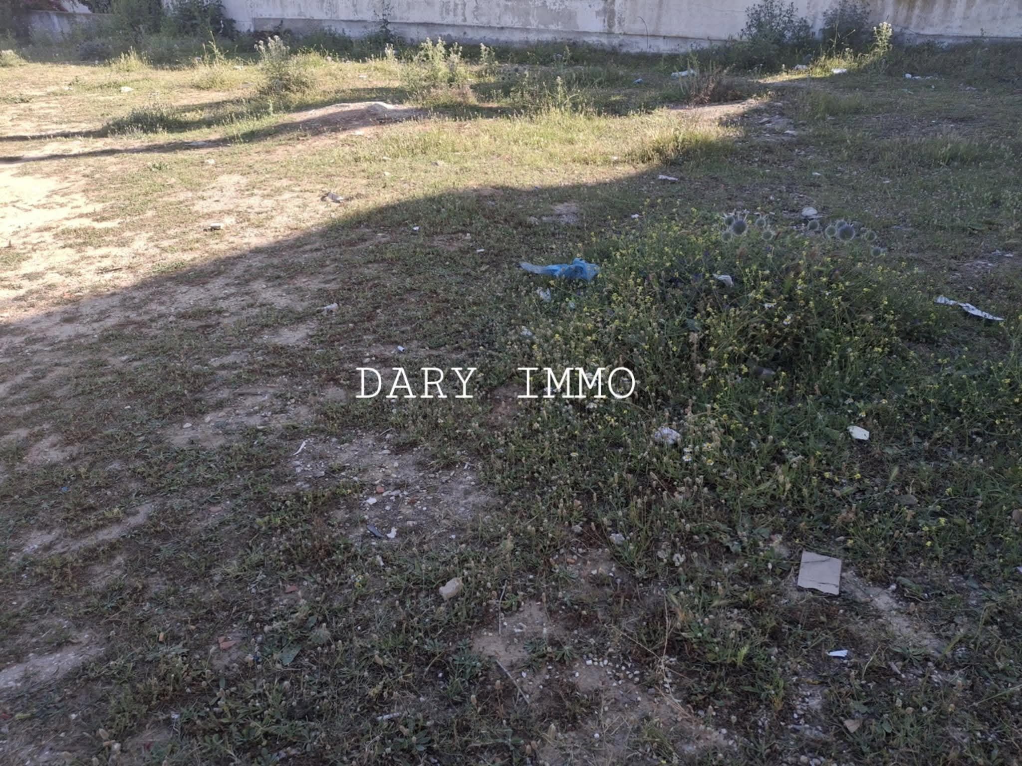 Vente Autre - Tunisie