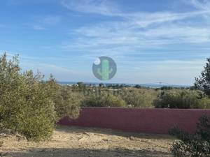 Vente Surfaces - Tunisie