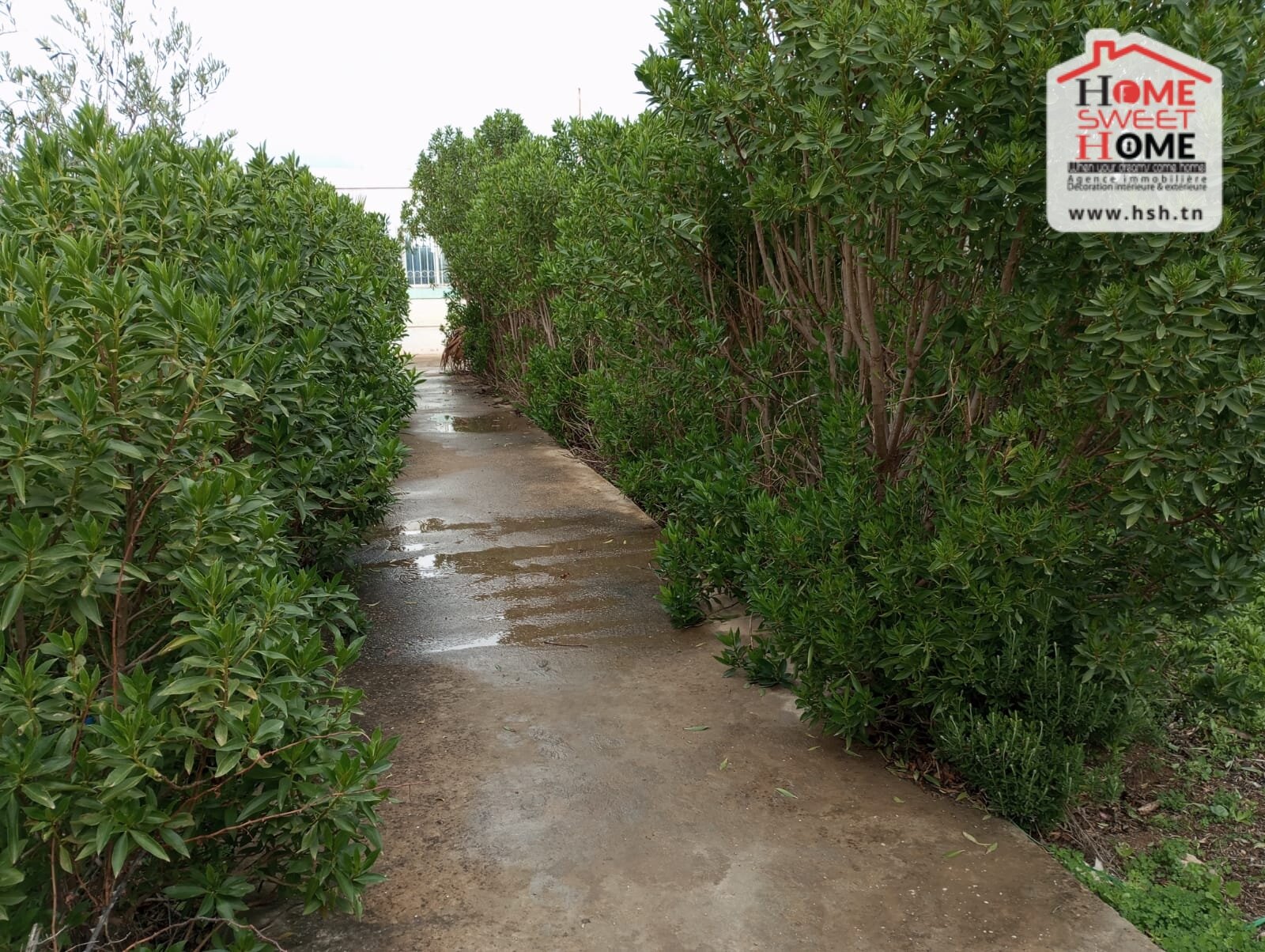 Teboursouk&nbsp;Teboursouk&nbsp;Vente&nbsp;Maisons&nbsp;Villa gavin � teboursouk