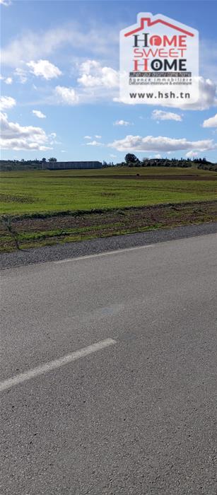 Mejez El Bab&nbsp;Mejez El Bab&nbsp;Terrain&nbsp;Terrain agricole&nbsp;Terrain agricole sylvara � mjez el beb