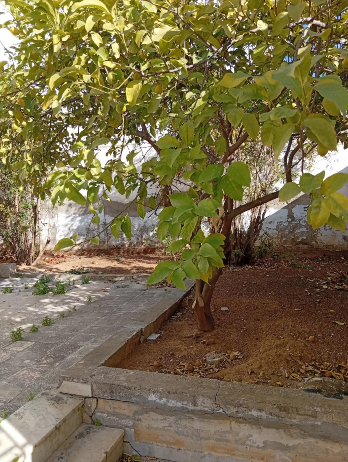 Vente&nbsp;Maisons - Tunisie