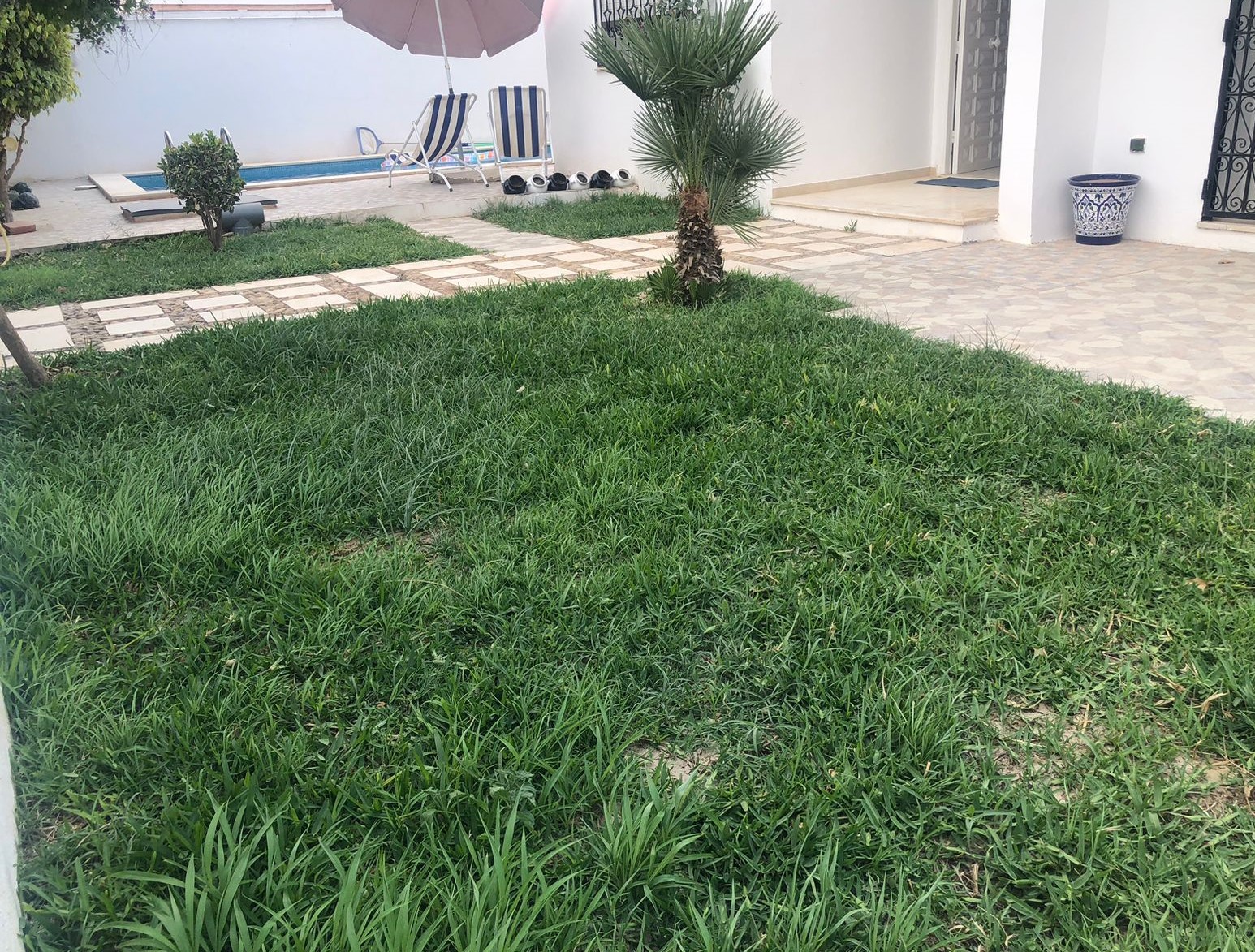 Hammamet&nbsp;Hammamet&nbsp;Vente&nbsp;Autre&nbsp;Villa sindbad