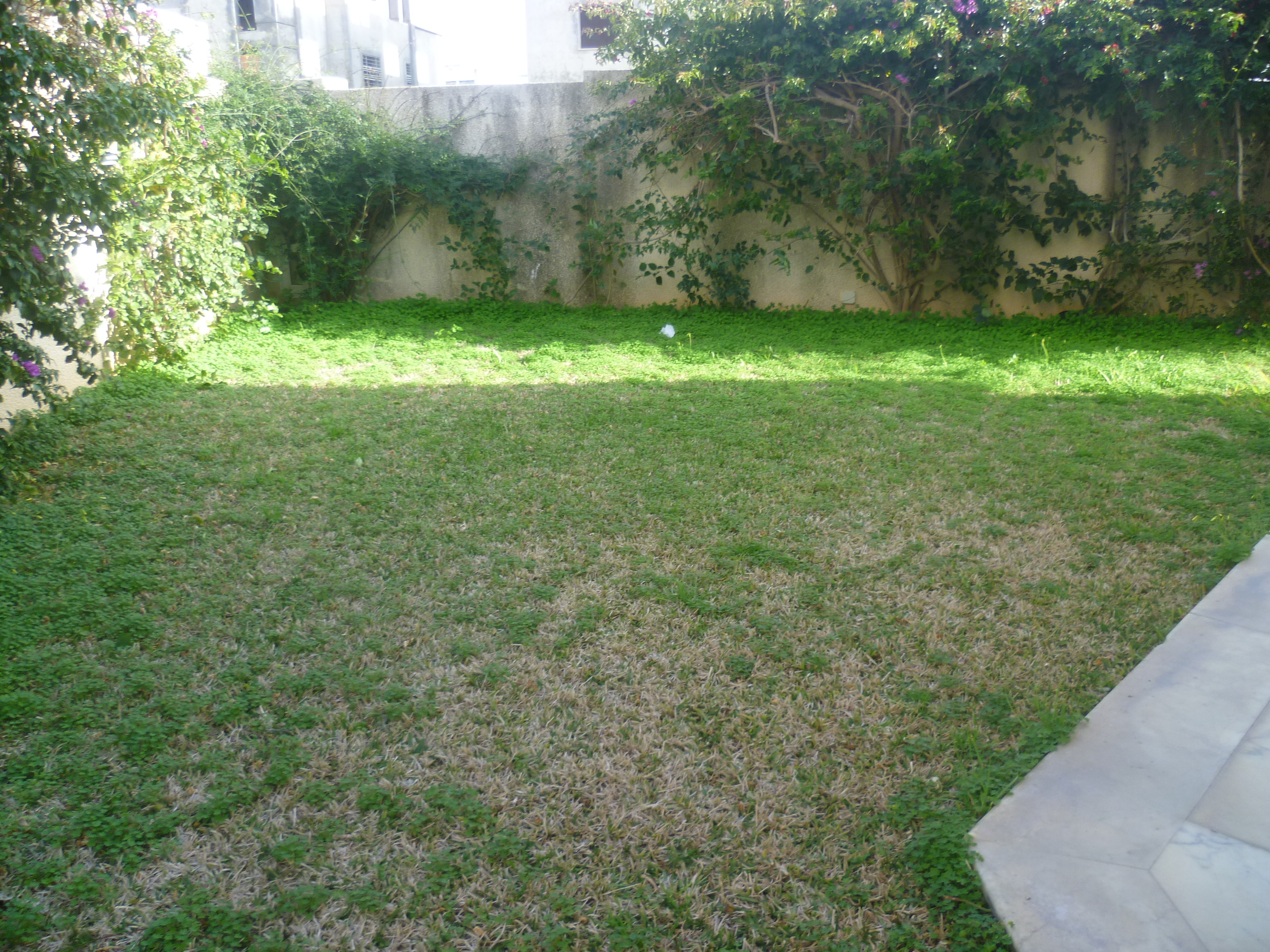 Hammamet&nbsp;Hammamet&nbsp;Vente&nbsp;Maisons&nbsp;Villa afh mrezgua