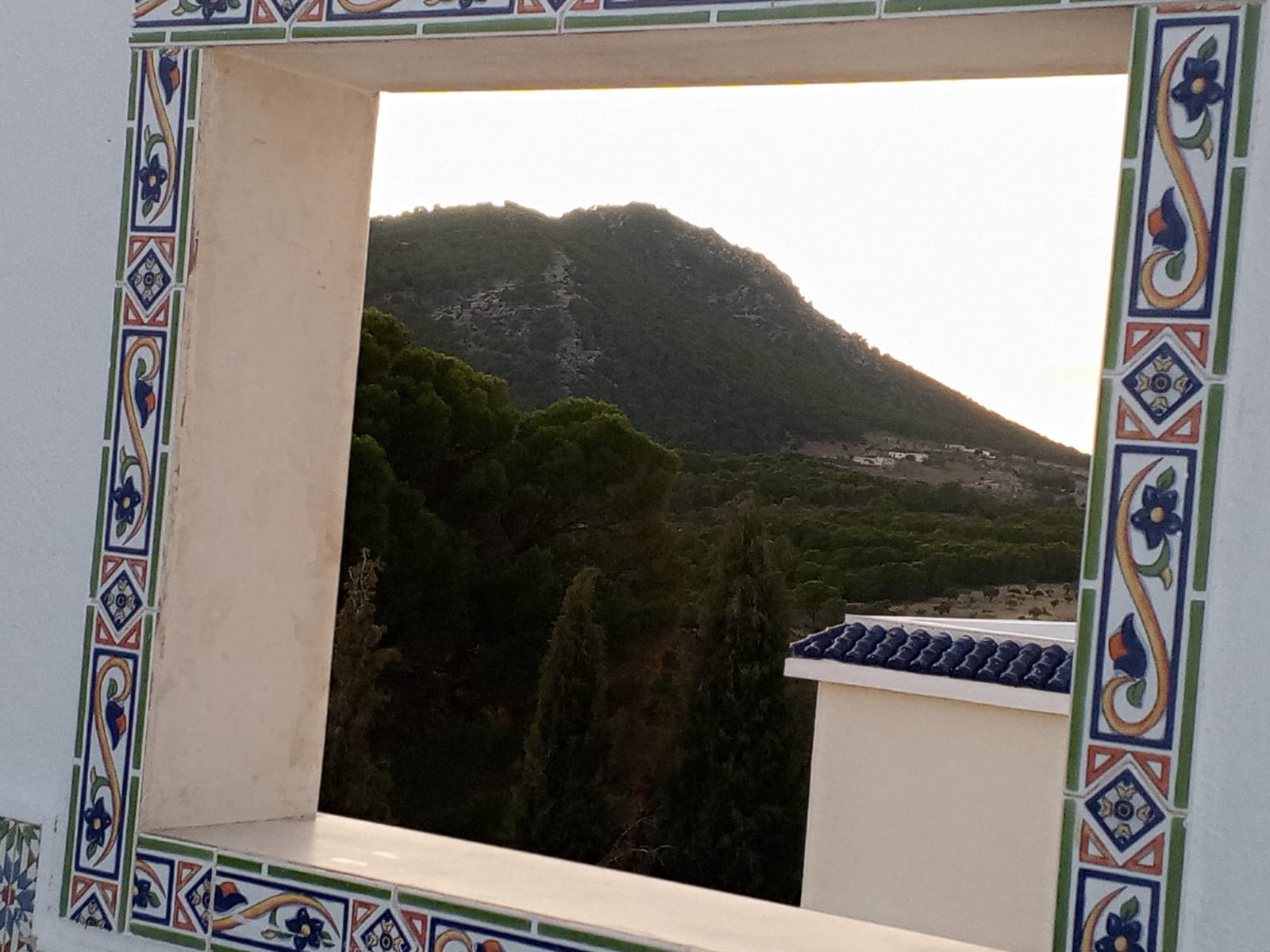 Siliana Sud&nbsp;Sidi Morched&nbsp;Vente&nbsp;Autre&nbsp;Ferme de charme en pleine nature