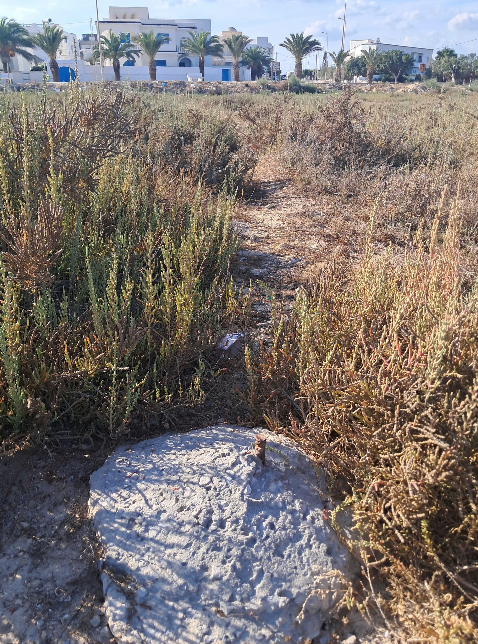 Beni Khiar&nbsp;El Maamoura&nbsp;Vente&nbsp;Surfaces&nbsp;Maamoura plage vdterrain 1000 m2 pieds dans l'eau