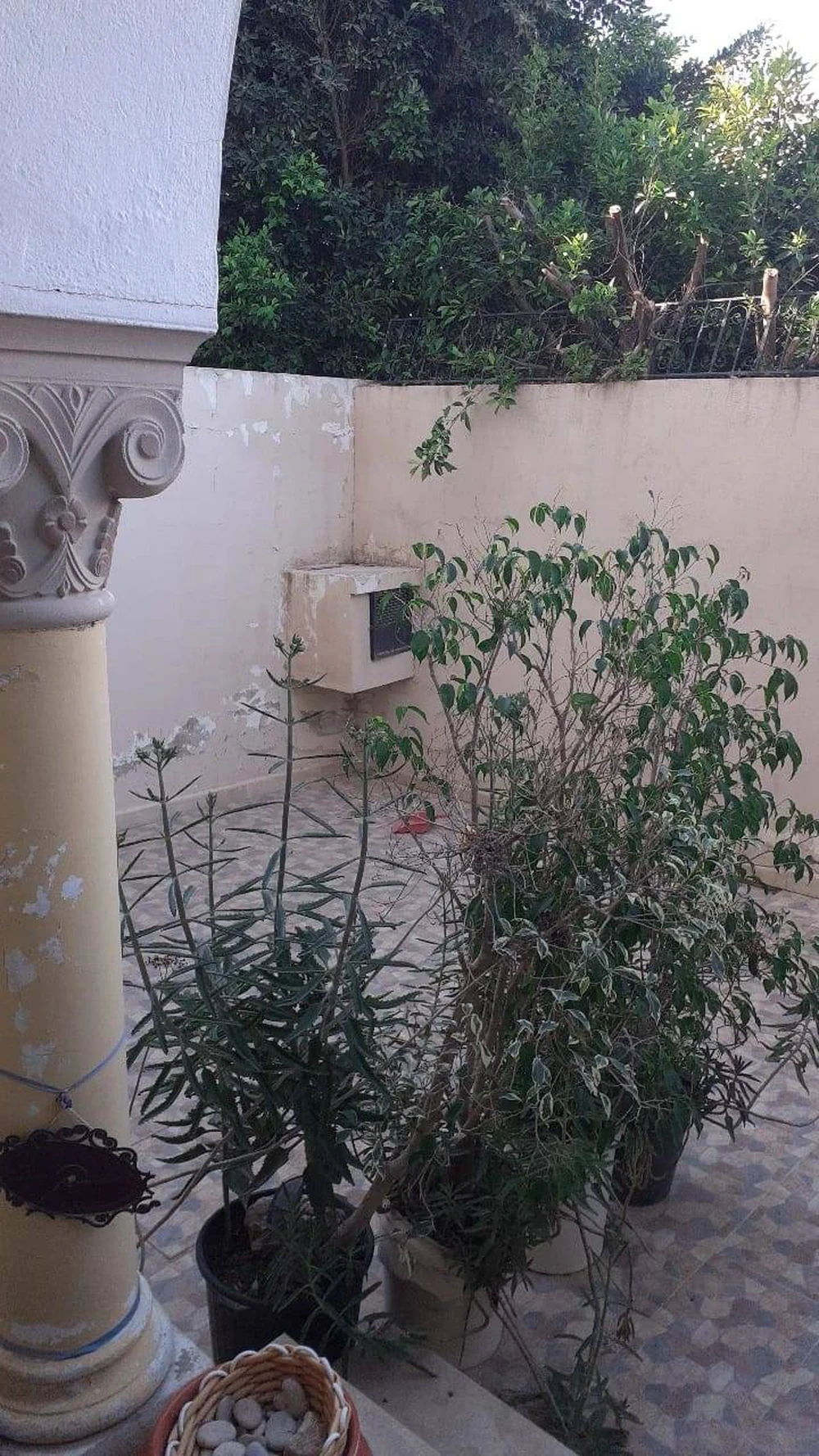 Ariana Ville&nbsp;Cite De La Sante&nbsp;Vente&nbsp;Duplex&nbsp;Duplex ariana