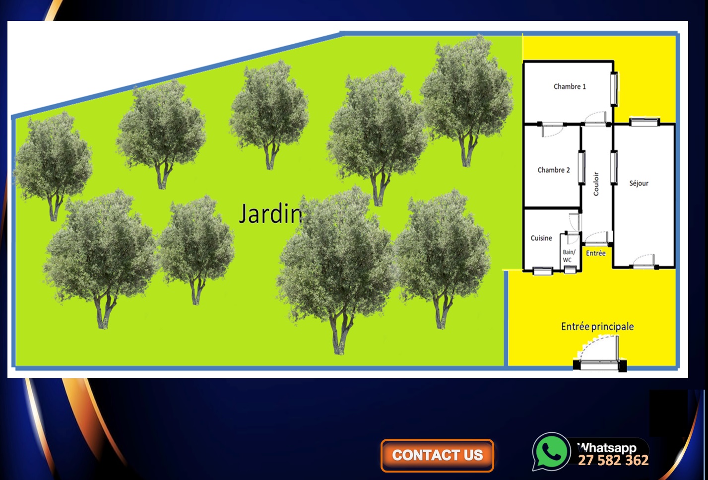 Bizerte Sud Louata Vente Maisons Maison avec grand jardin 9 oliviers