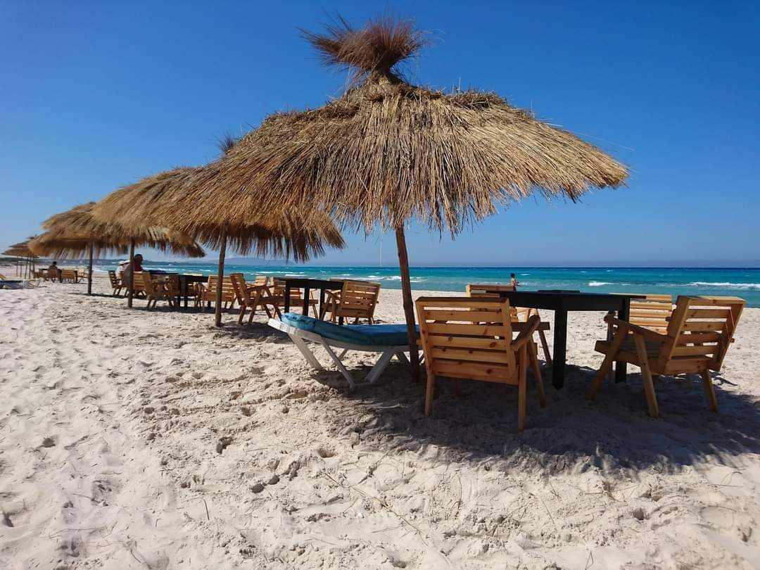 Kelibia Kerkouane Terrain Terrain agricole Bonne affaire de 10000 mtre carre