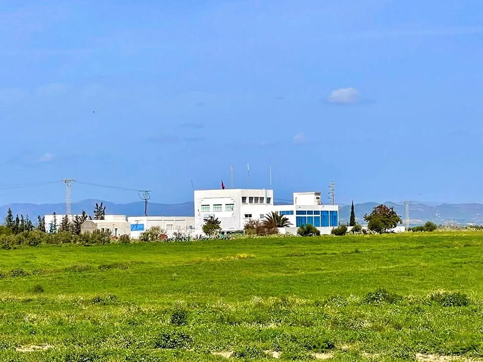 Vente&nbsp;Surfaces - Tunisie