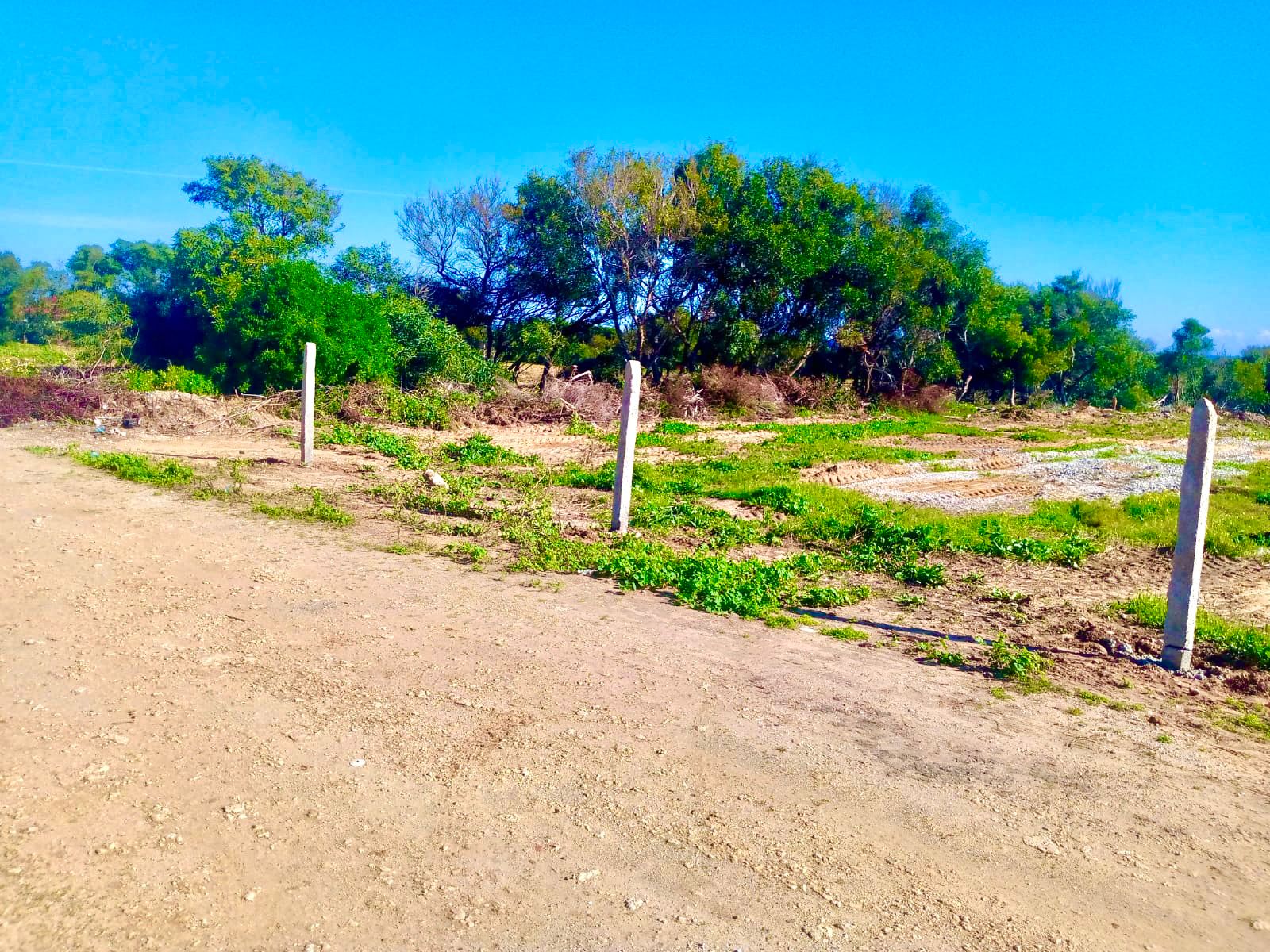 Vente&nbsp;Surfaces - Tunisie