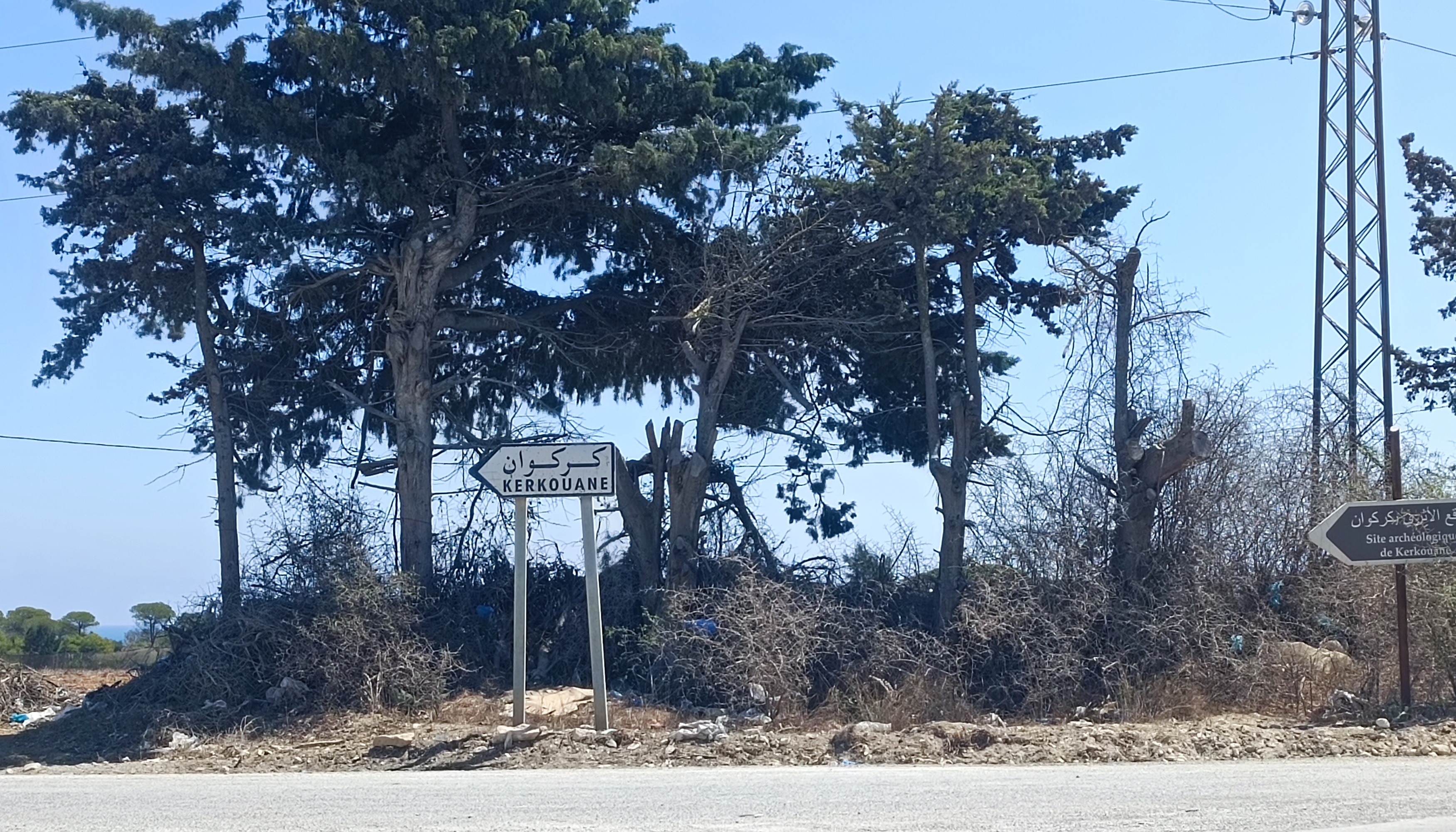 Kelibia&nbsp;Kerkouane&nbsp;Terrain&nbsp;Terrain nu&nbsp;Projet lotissement priv� pieds dans l'eau