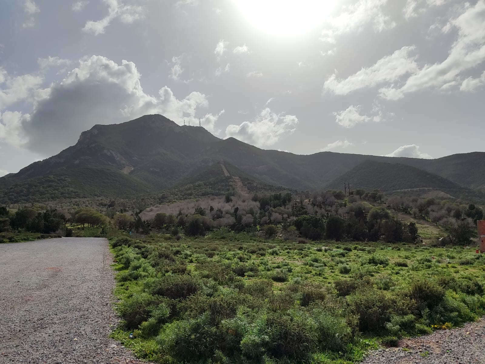 Vente&nbsp;Surfaces - Tunisie