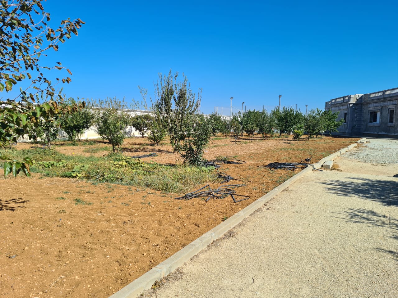 Sidi Thabet&nbsp;Chorfech 2&nbsp;Terrain&nbsp;Terrain agricole&nbsp;Superbe ferme � sidi thabet