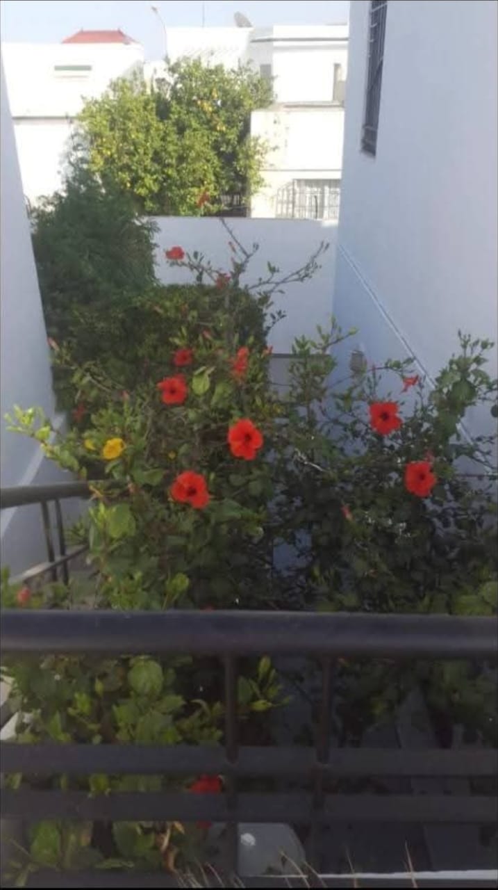 Ariana Ville&nbsp;Ariana&nbsp;Location&nbsp;Maisons&nbsp;Etage s2 cit� ghazela