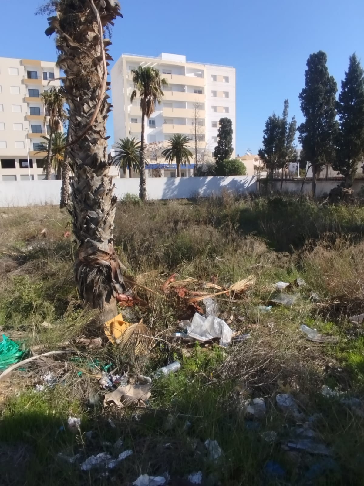 Nabeul&nbsp;Nabeul&nbsp;Vente&nbsp;Autre&nbsp;Terrain a nabeul