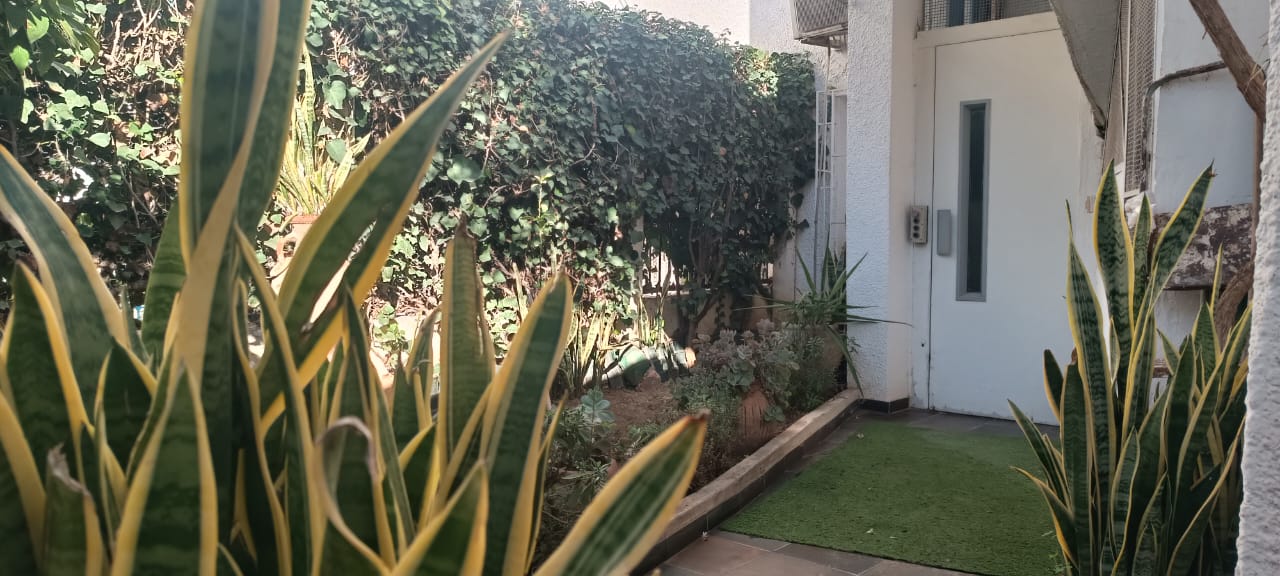 Ariana Ville&nbsp;El Menzah 6&nbsp;Vente&nbsp;Duplex&nbsp;Triplex r�nov� aux uv4 menzah 6