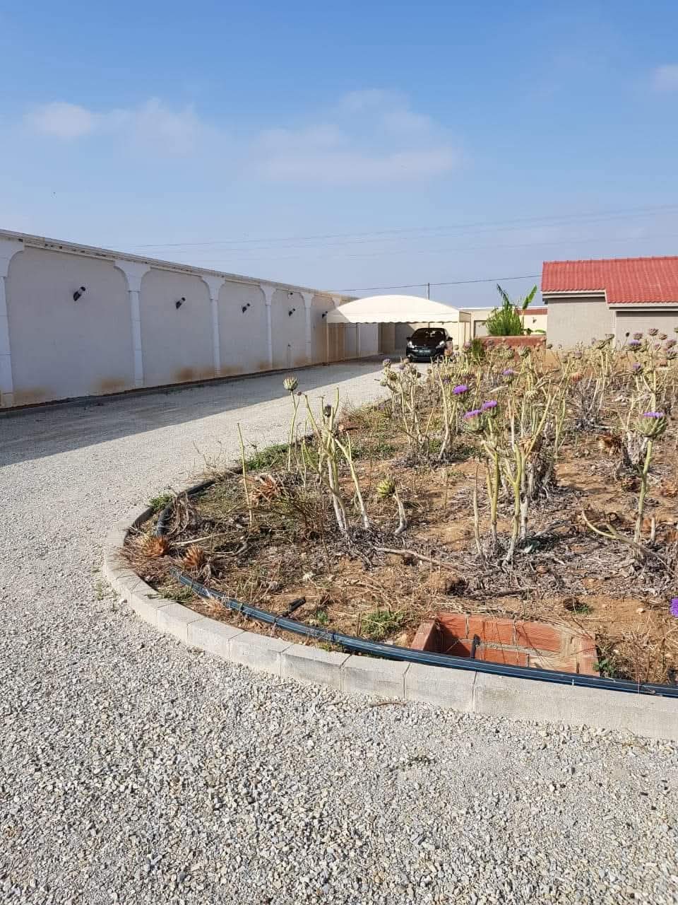 Sidi Thabet&nbsp;Chorfech&nbsp;Vente&nbsp;Autre&nbsp;Belle ferme � chorfech pour projet �cotouristiques