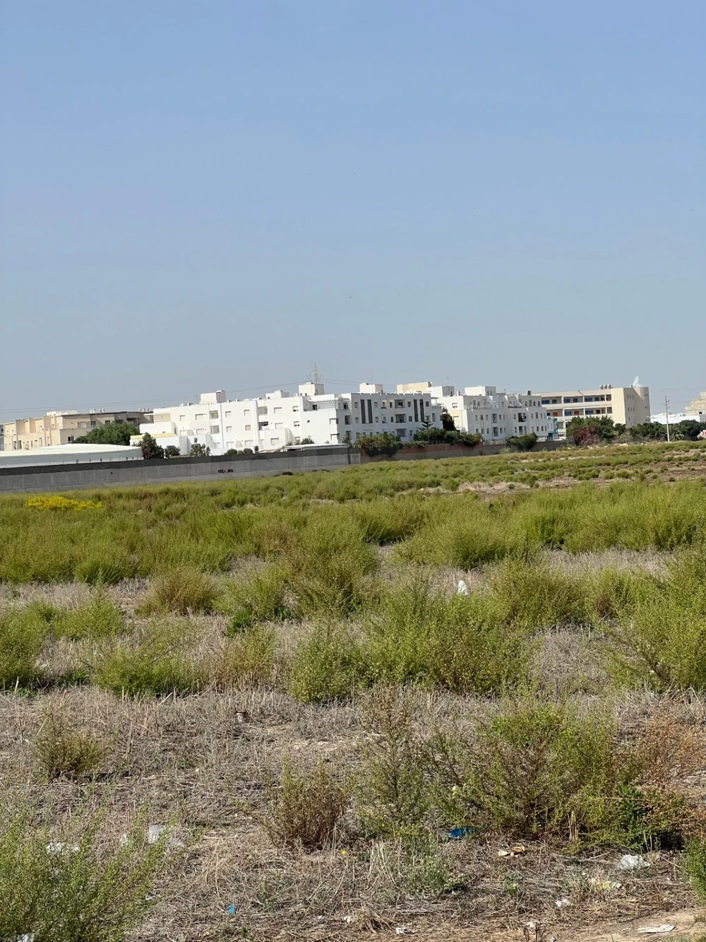 La Marsa&nbsp;Sidi Daoud&nbsp;Terrain&nbsp;Terrain nu&nbsp;Terrain de 948 m�tre carr� pour investir