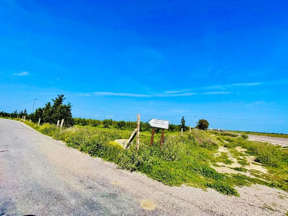 Vente&nbsp;Surfaces - Tunisie