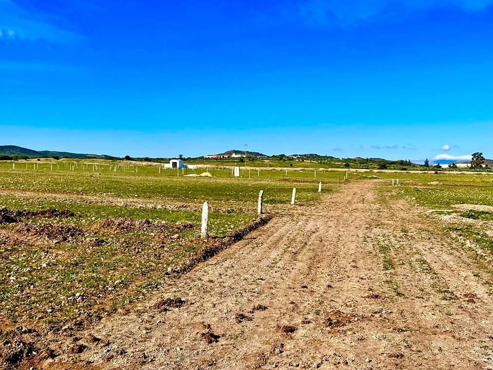 Vente&nbsp;Surfaces - Tunisie