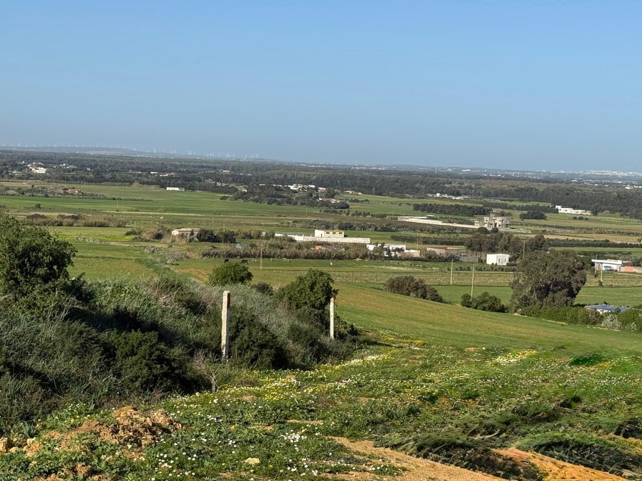 Kelibia&nbsp;Azmour&nbsp;Vente&nbsp;Surfaces&nbsp;Zone calme