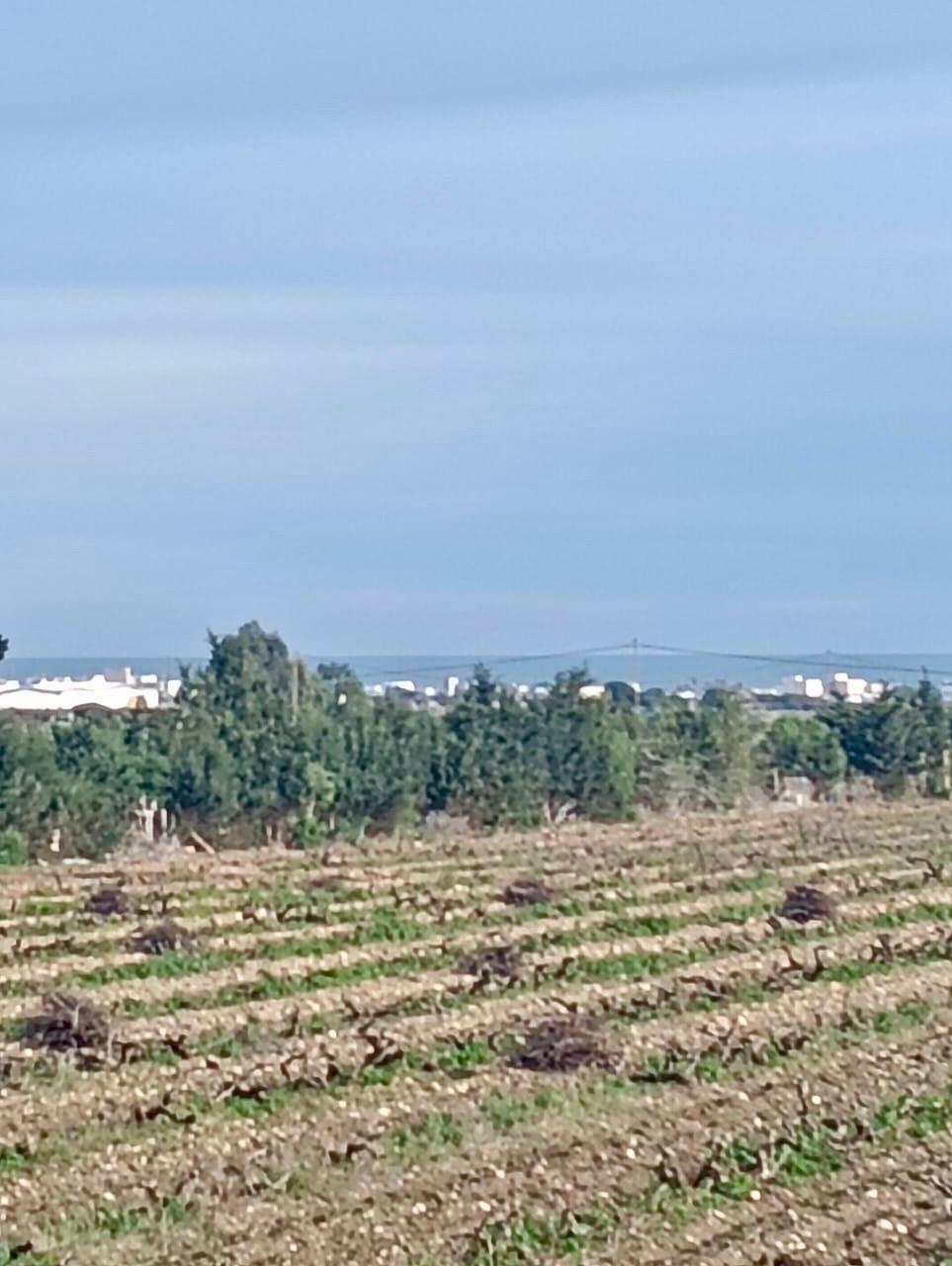 Menzel Temime&nbsp;Sidi Jameleddine&nbsp;Vente&nbsp;Surfaces&nbsp;Emplacement calme � sidi jameleddine