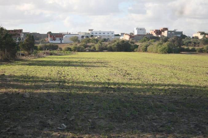 Vente Surfaces - Tunisie