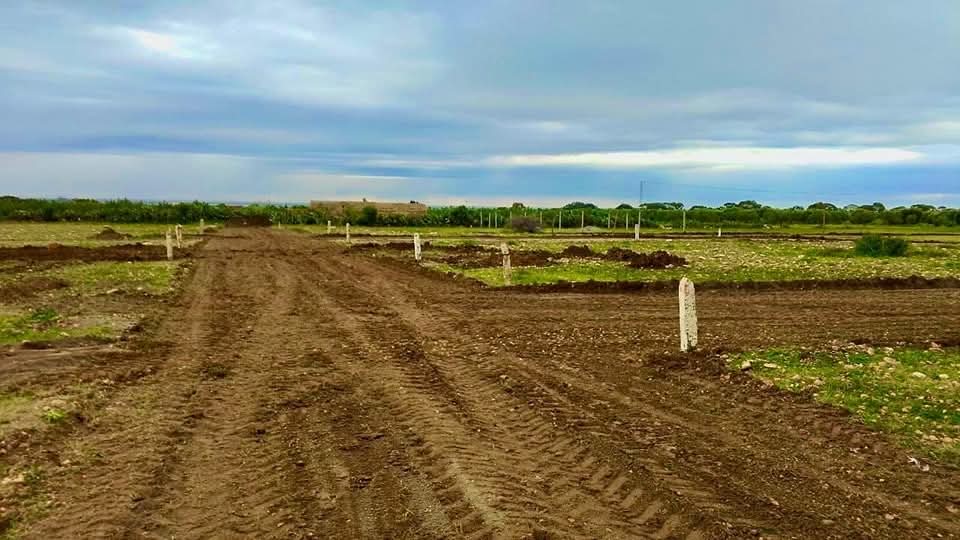 Bou Ficha&nbsp;Bou Ficha&nbsp;Vente&nbsp;Surfaces&nbsp;Terrain agricole fertile � bouficha