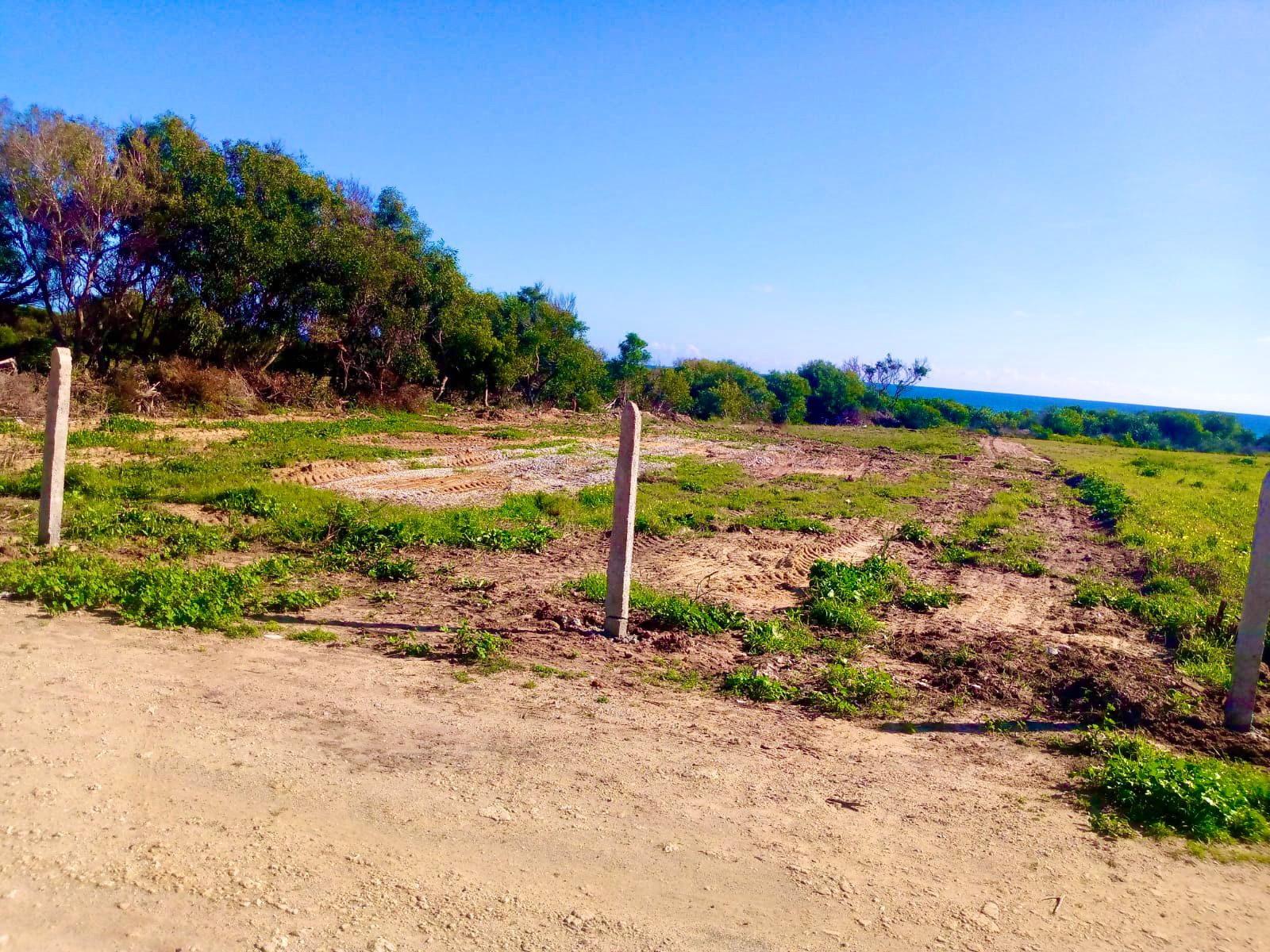 Kelibia&nbsp;Kerkouane&nbsp;Vente&nbsp;Surfaces&nbsp;Zone verdoyante et paisible