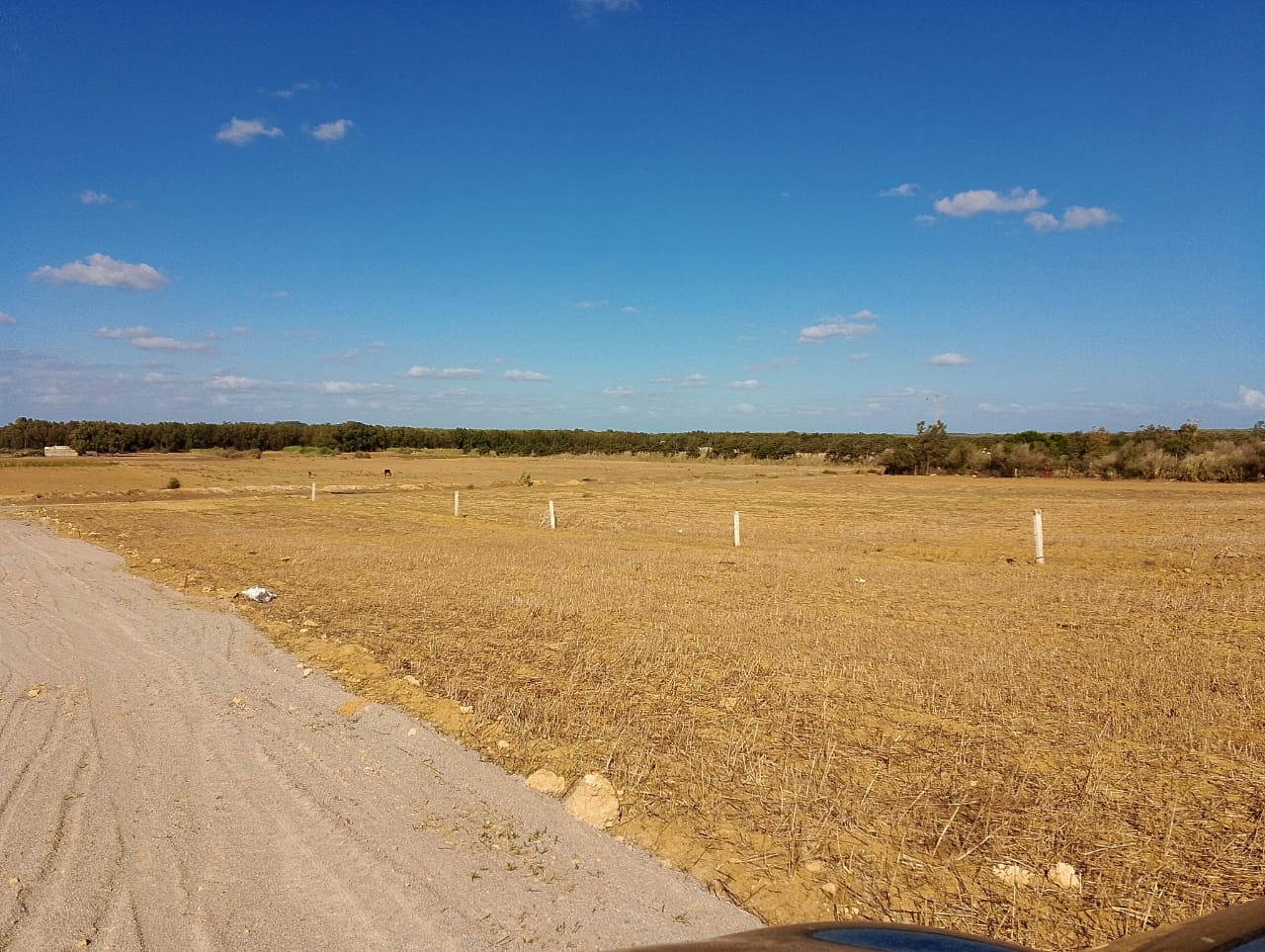 Kelibia&nbsp;Azmour&nbsp;Vente&nbsp;Surfaces&nbsp;Magnifique terrain au calme